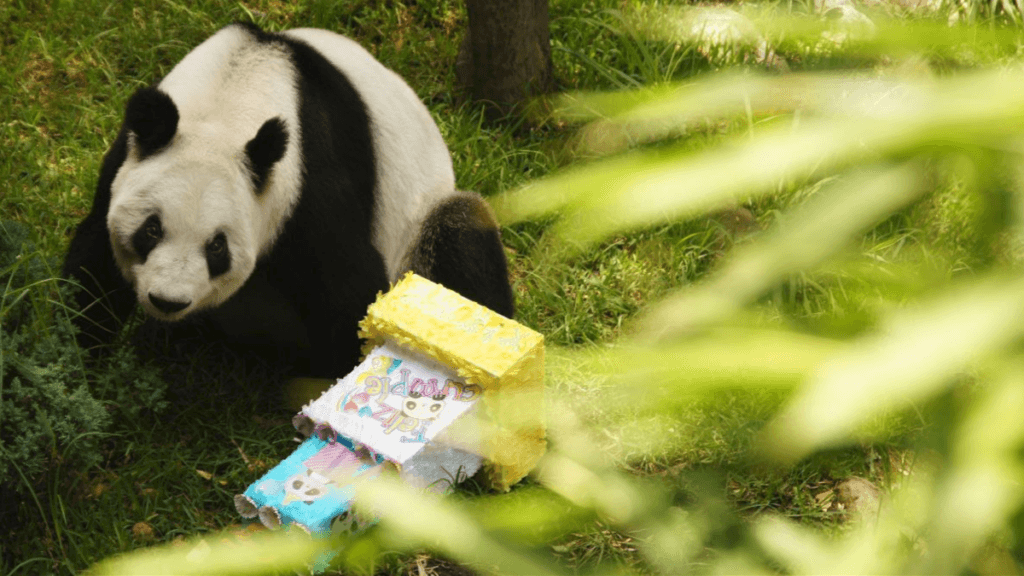 FOTO: X @SEDEMA_CDMX