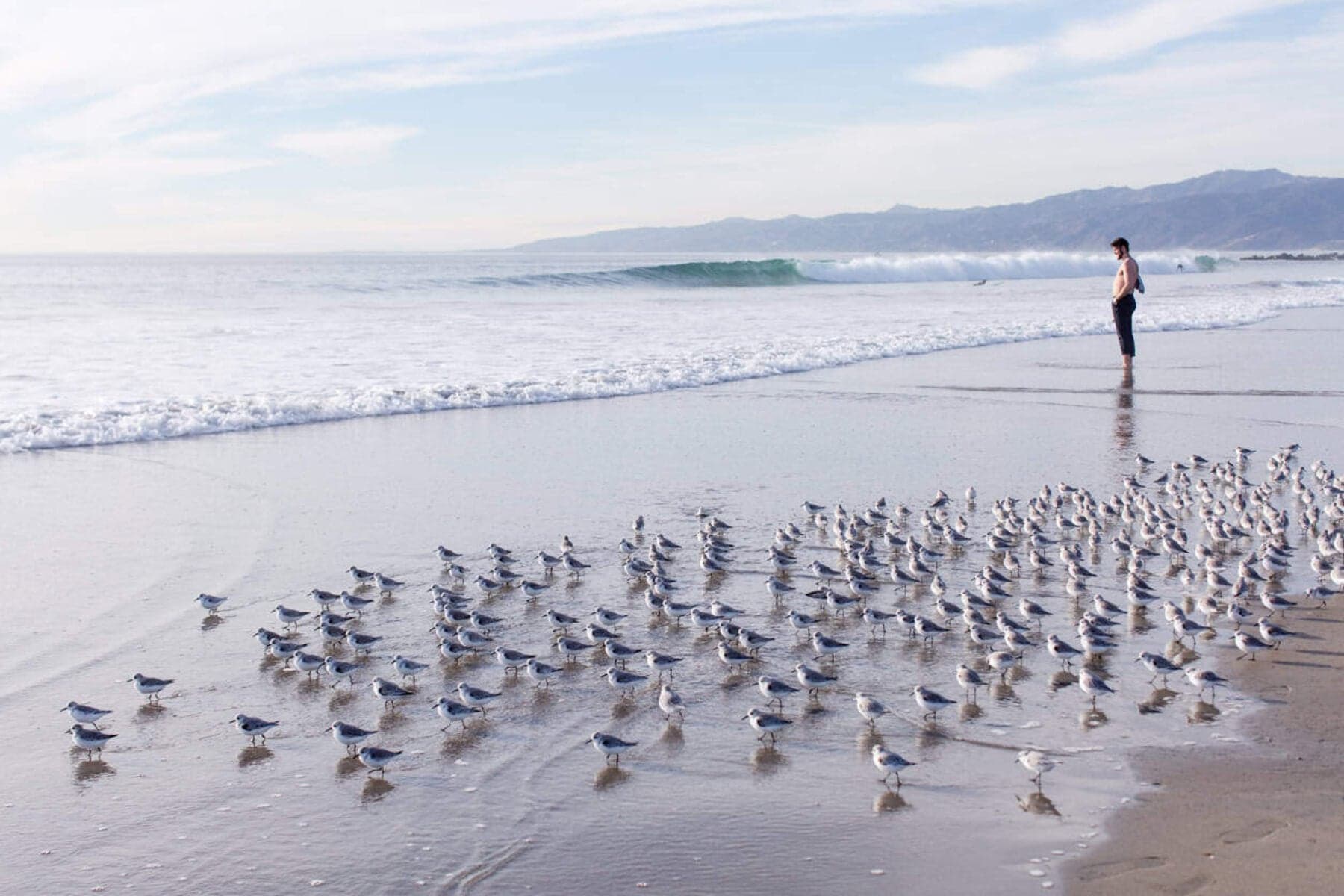 What went right this week: a ‘breakthrough’ for migratory species, plus more