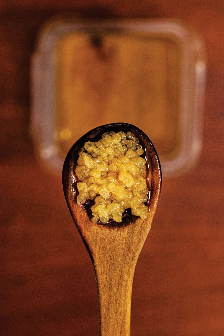 Al reforzar la barrera intestinal, se reduce la entrada de toxinas o patógenos al sistema
LA NACION