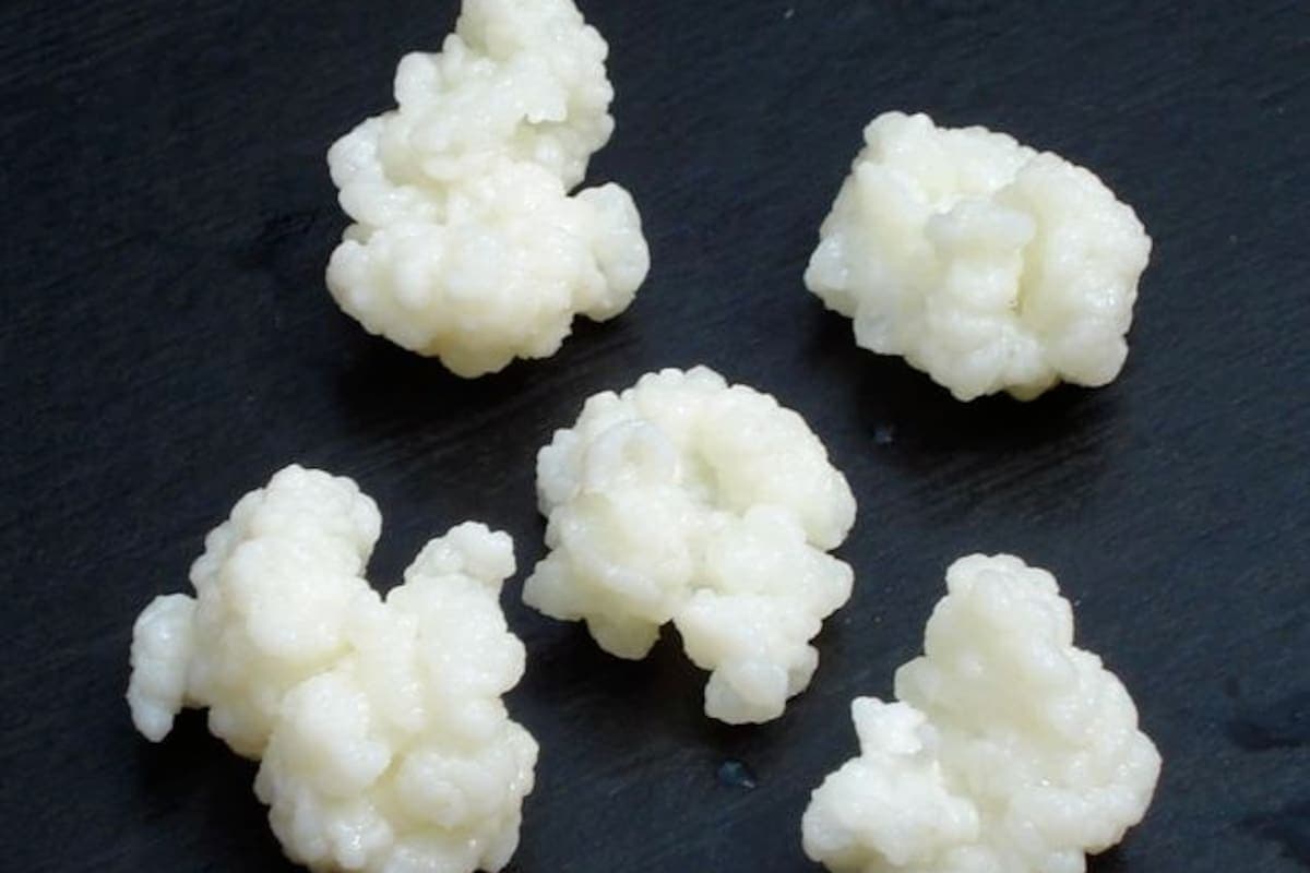 Los estudios lo llaman el alimento ignorado: qué es el “oro blanco” y por qué mejora tu digestión en días