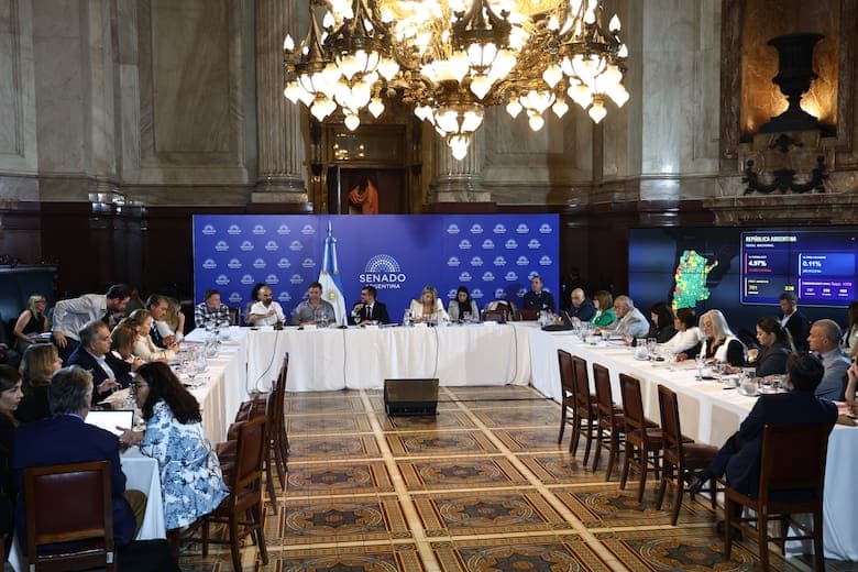 El proyecto de ley de Inviolabilidad de la Propiedad Privada volvió a discutirse este miércoles en un plenario de comisiones en el Senado
Hernan Zenteno - La Nacion