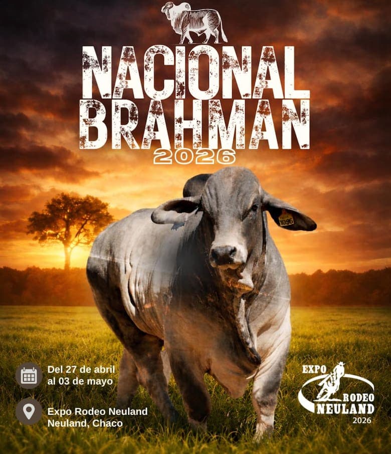 En la Asociación de Criadores de Brahman de Argentina indicaron que la invitación “representa un hito en la integración ganadera regional” y subrayaron la relevancia del reconocimiento para la dirigencia técnica nacional