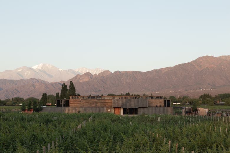 Tres amigos y una bodega construida con chatarra que nació de casualidad