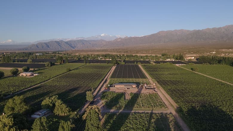 En Las Compuertas, MAAL tomó forma en 2021 con la brújula puesta en los materiales reciclados en un terreno largo y angosto con vistas privilegiadas a las montañas