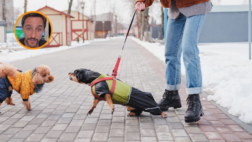 Juan Manuel Linquindoli, adiestrador canino: “No hay ninguna evidencia científica que diga que hay razas de perros más peligrosas que otras”